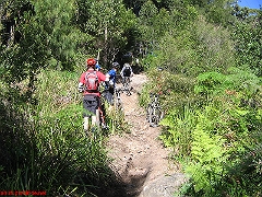 20070520-Bulli 082